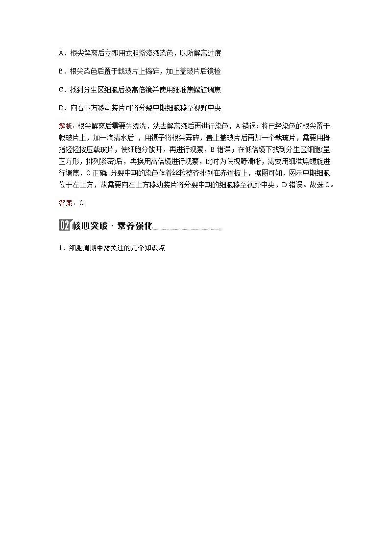 2023届高考生物二轮复习细胞的生命历程(含减数分裂和受精作用)学案第3页