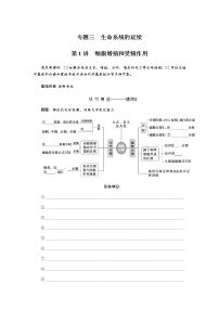 2023届高考生物二轮复习细胞增殖和受精作用学案（不定项）