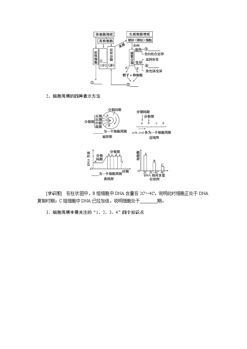 2023届高考生物二轮复习细胞增殖和受精作用学案（不定项）第3页