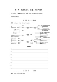 2023届高考生物二轮复习细胞的分化、衰老、死亡和癌变学案（不定项）