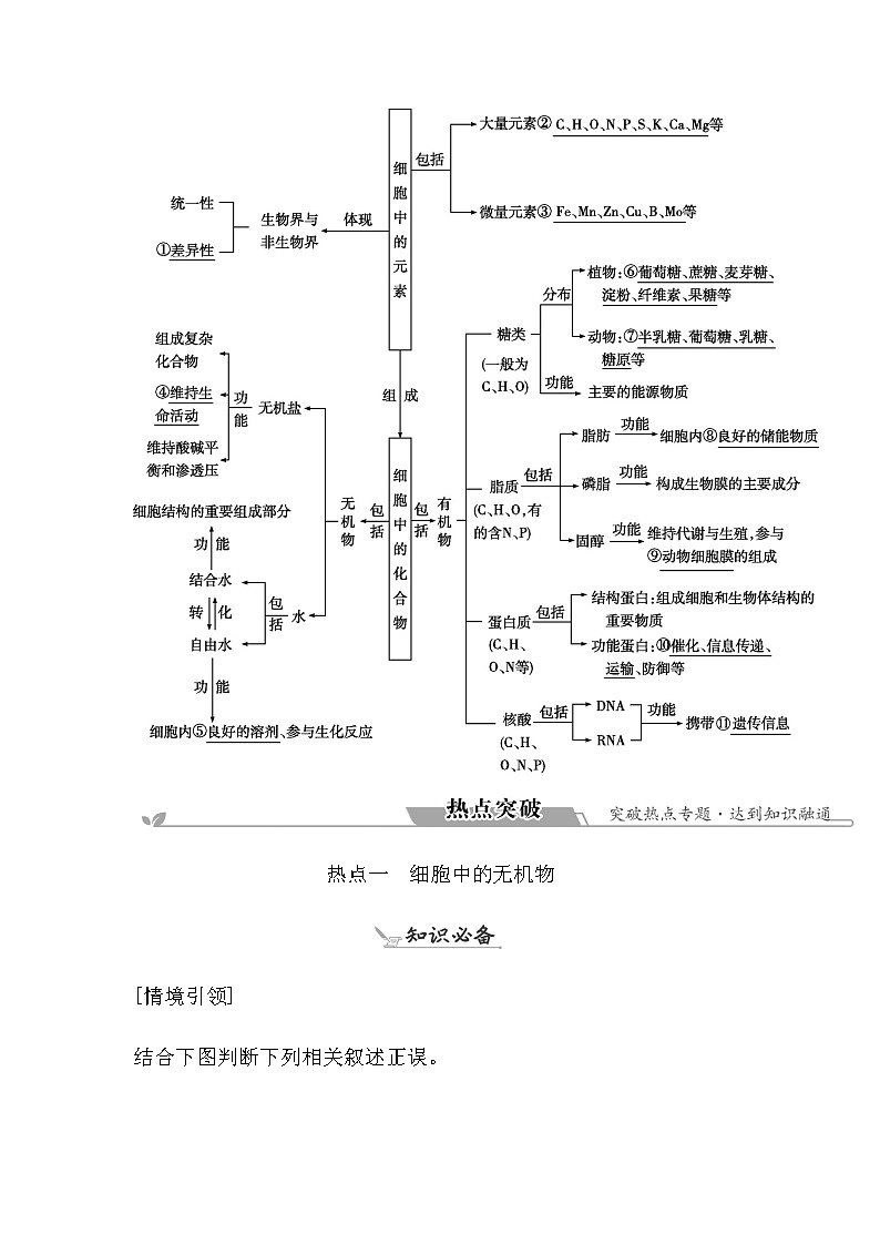 2023届高考生物二轮复习第1讲细胞的分子组成学案03