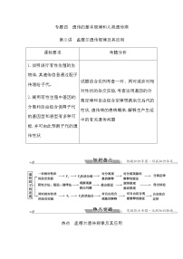 2023届高考生物二轮复习第8讲孟德尔遗传规律及其应用学案