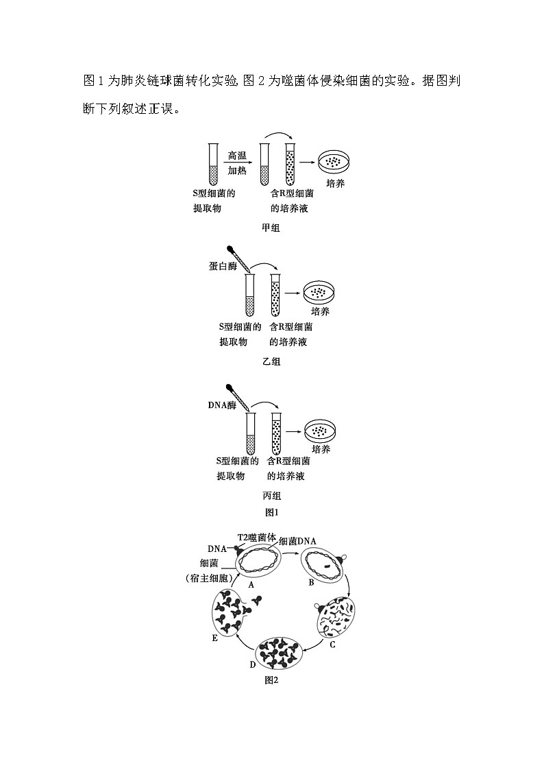 2023届高考生物二轮复习第10讲遗传的分子基础学案第3页
