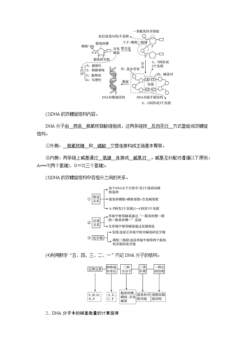 2023届高考生物二轮复习DNA的结构与DNA复制学案02