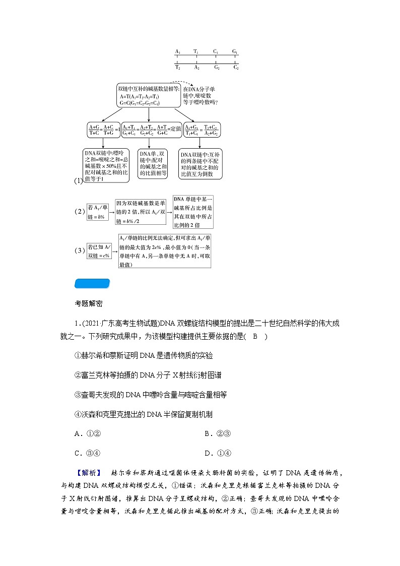 2023届高考生物二轮复习DNA的结构与DNA复制学案03