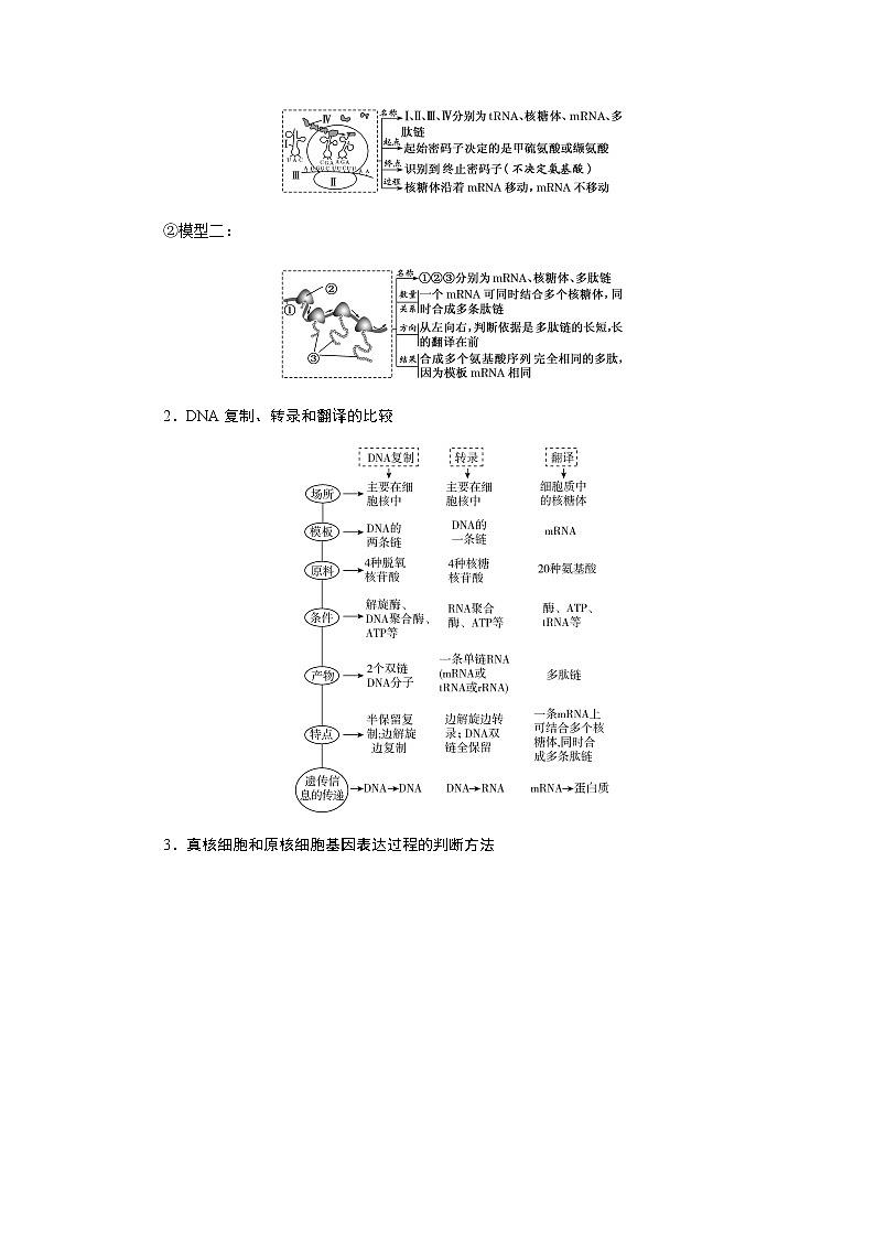 2023届高考生物二轮复习基因表达与中心法则学案02