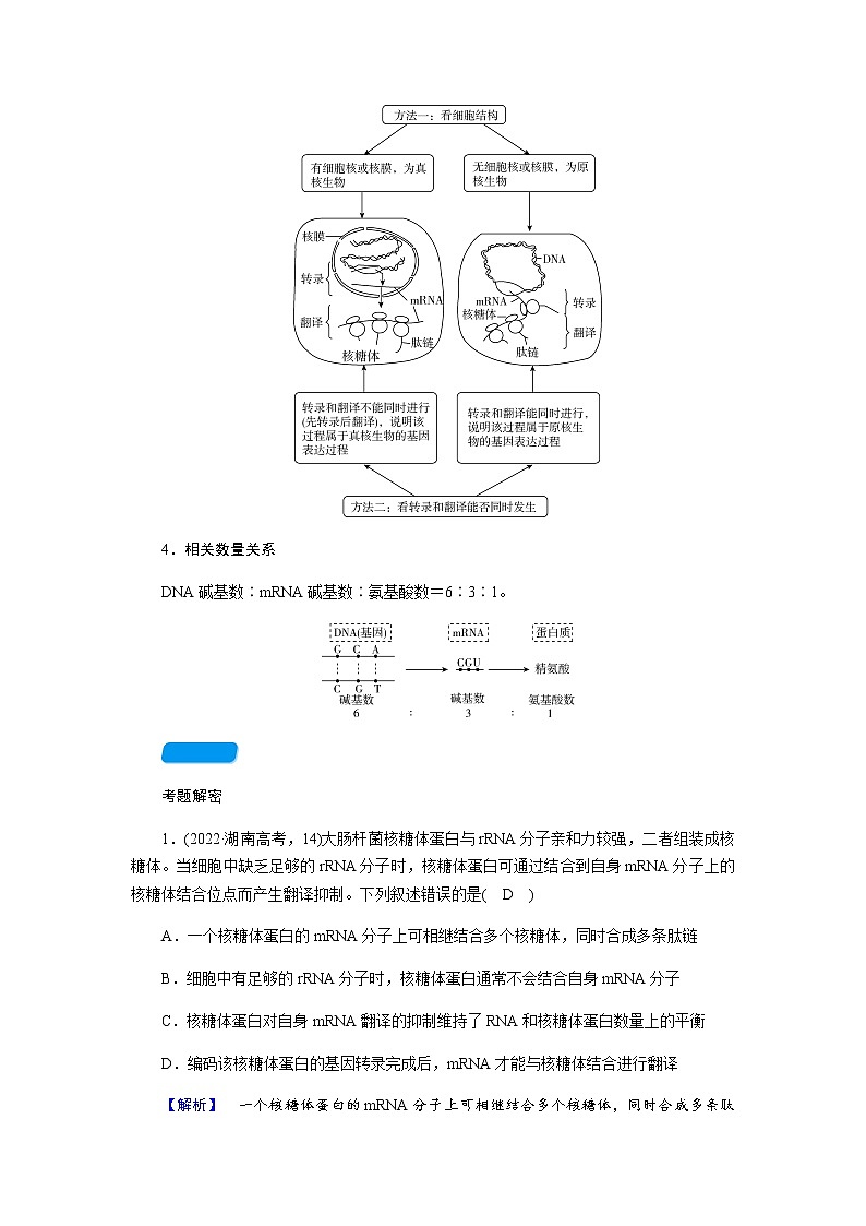 2023届高考生物二轮复习基因表达与中心法则学案03