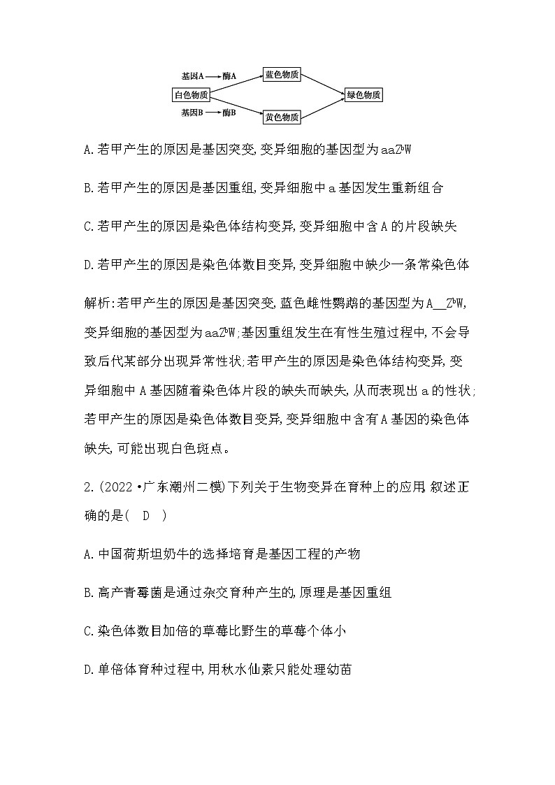 2023届高考生物二轮复习热点3变异及其在生产实践中的应用学案第2页
