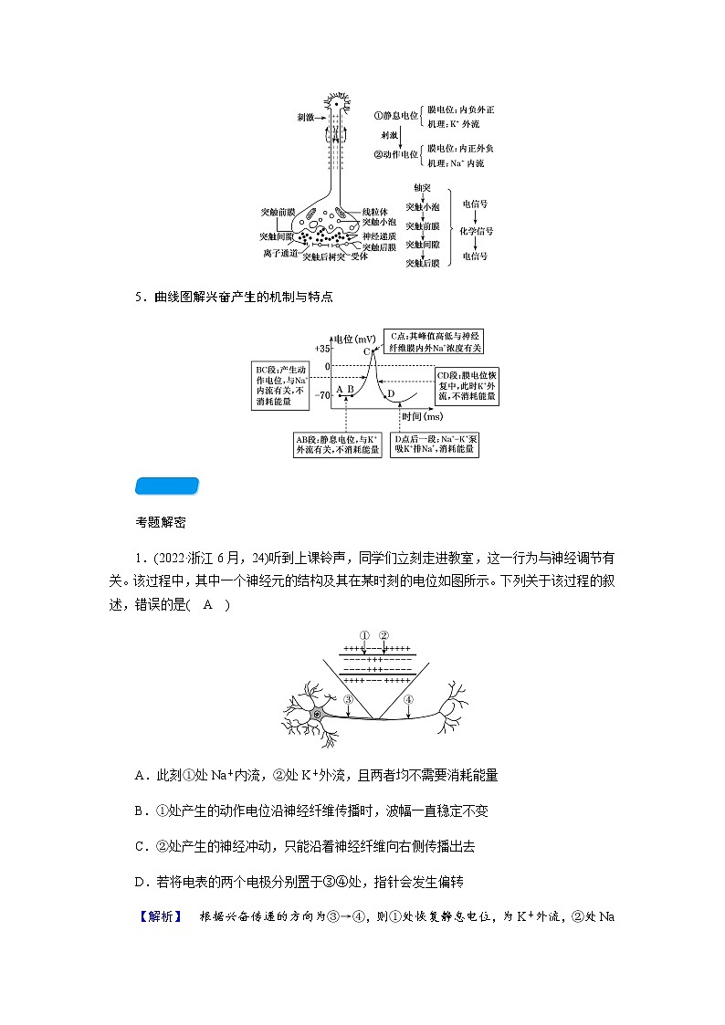 2023届高考生物二轮复习神经系统调节与体液调节学案第3页