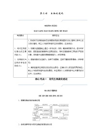 2023届高考生物二轮复习生物的进化学案