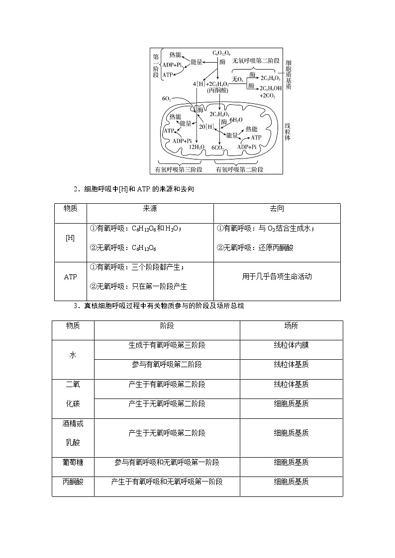 2023届高考生物二轮复习细胞呼吸与光合作用学案第2页