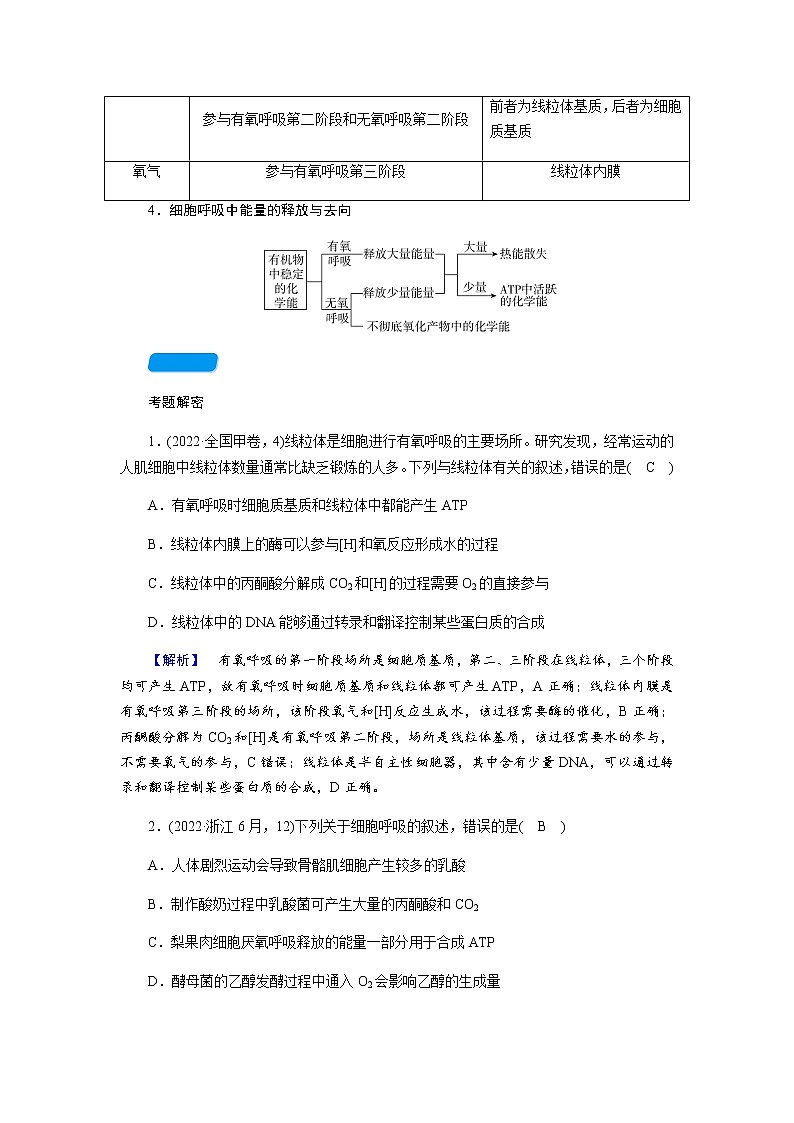 2023届高考生物二轮复习细胞呼吸与光合作用学案第3页