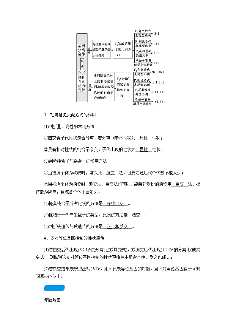 2023届高考生物二轮复习遗传的基本规律学案03