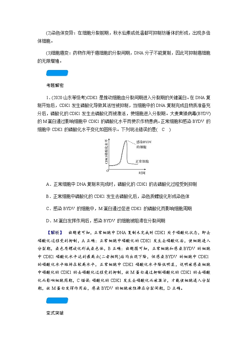 2023届高考生物二轮复习有丝分裂与减数分裂学案03