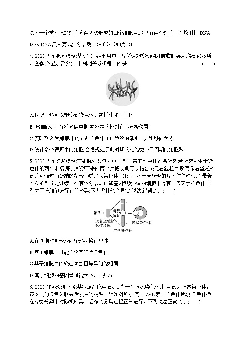 2023届高考生物二轮复习专题提升练专题3细胞的生命历程作业含答案02