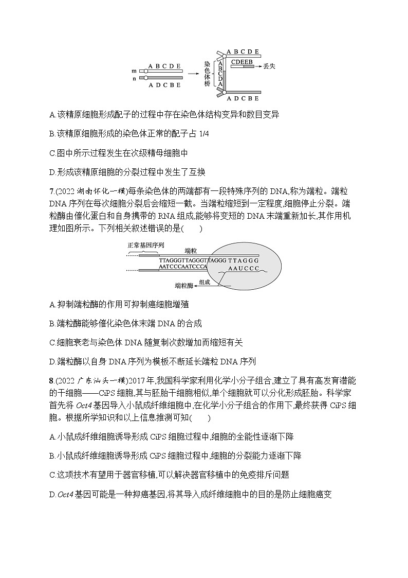 2023届高考生物二轮复习专题提升练专题3细胞的生命历程作业含答案03