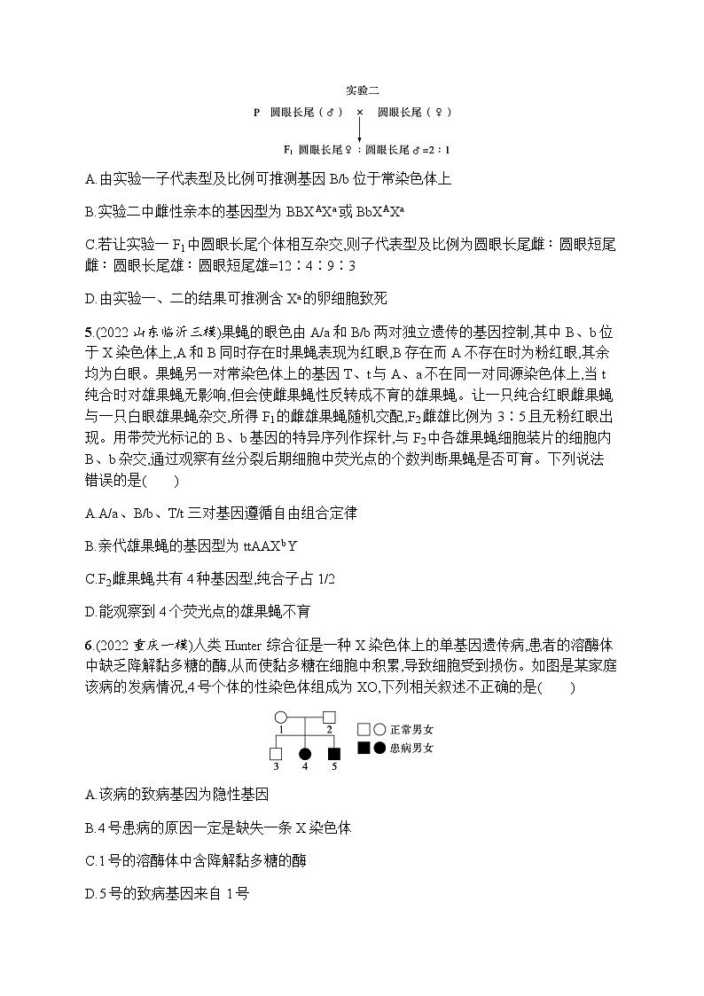 2023届高考生物二轮复习专题提升练专题4遗传的基本规律和人类遗传病作业含答案02