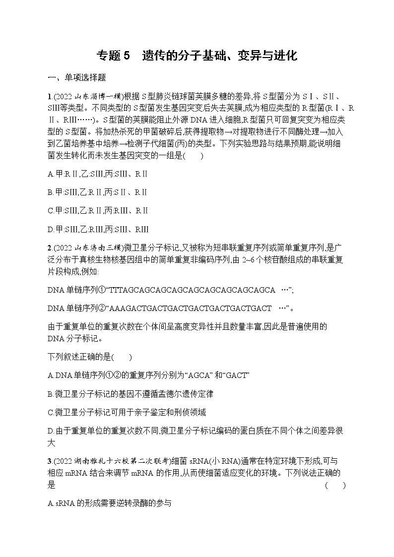 2023届高考生物二轮复习专题提升练专题5遗传的分子基础、变异与进化作业含答案01