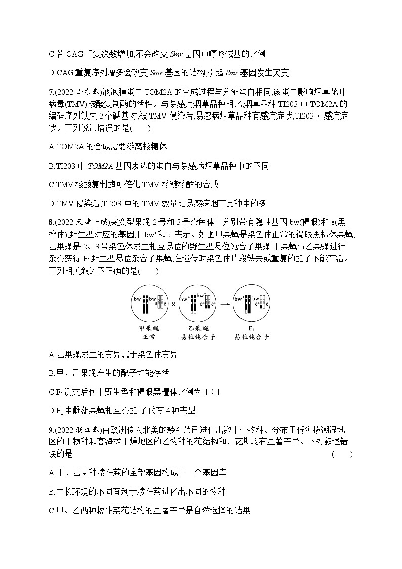 2023届高考生物二轮复习专题提升练专题5遗传的分子基础、变异与进化作业含答案03