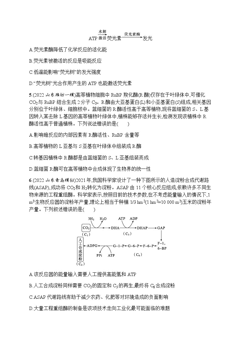 2023届高考生物二轮复习细胞代谢作业含答案第2页