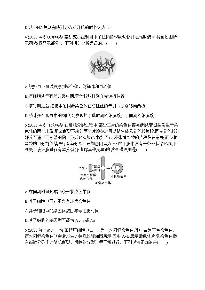 2023届高考生物二轮复习细胞的生命历程作业含答案第2页