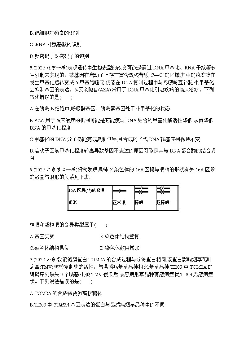 2023届高考生物二轮复习遗传的分子基础、变异与进化作业含答案02
