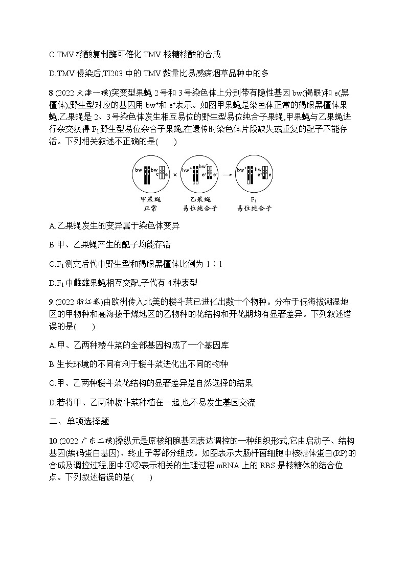2023届高考生物二轮复习遗传的分子基础、变异与进化作业含答案03