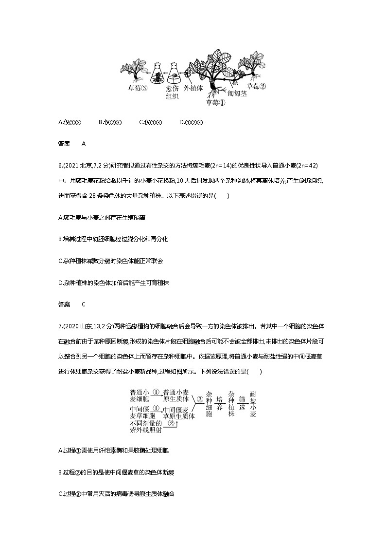 2023届高考生物二轮复习细胞工程作业含答案第3页
