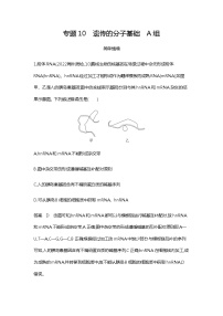 2023届高考生物二轮复习 遗传的分子基础作业含答案