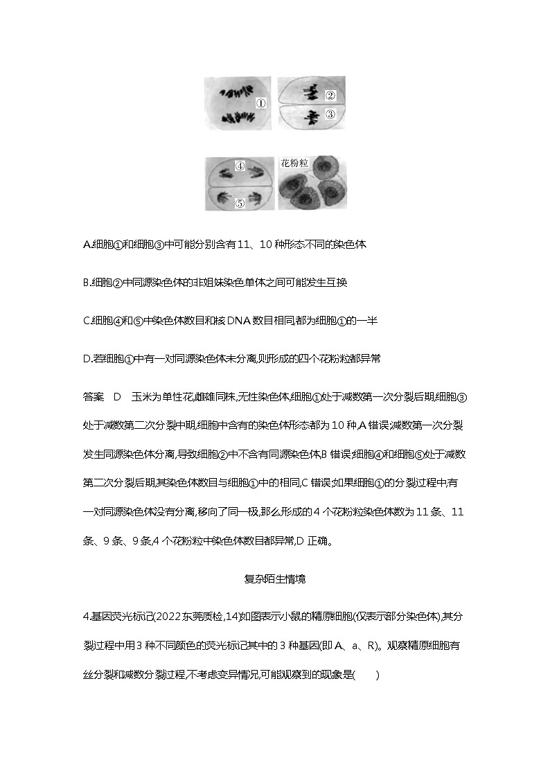 2023届高考生物二轮复习 遗传的细胞基础作业含答案第3页