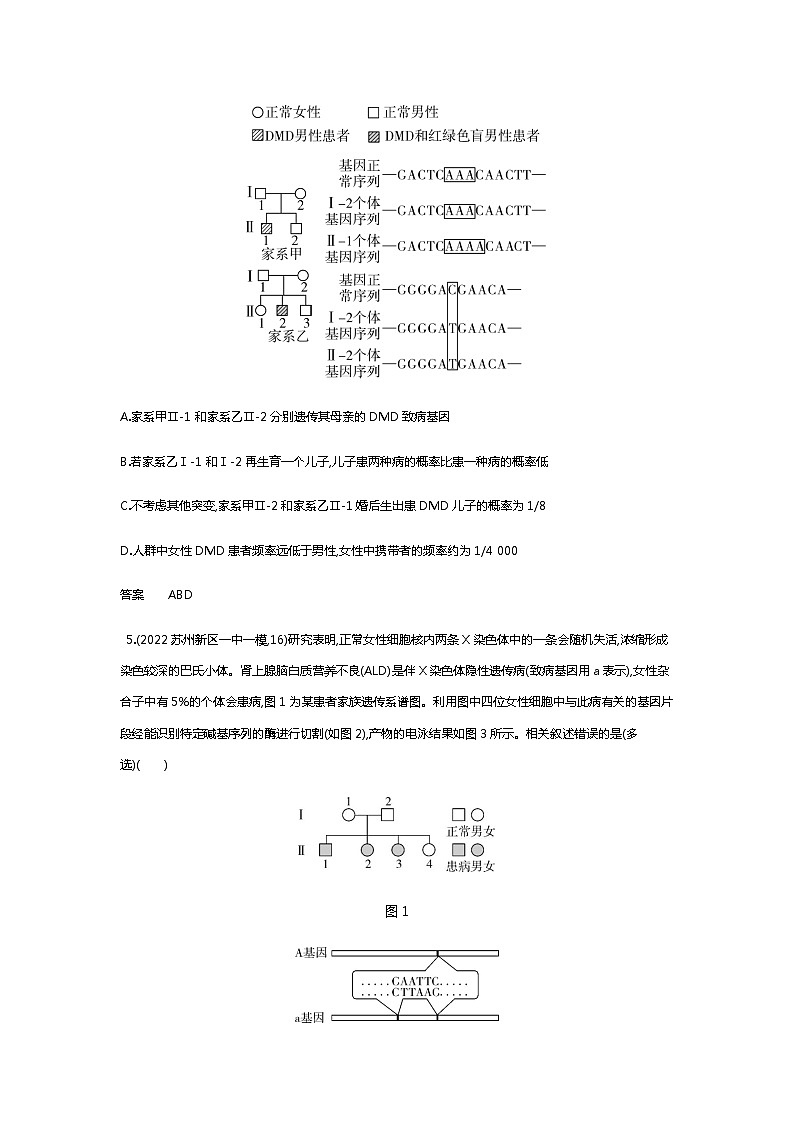 2023届高考生物二轮复习伴性遗传与人类遗传病作业含答案第3页