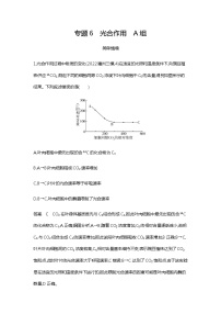 2023届高考生物二轮复习光合作用 作业含答案