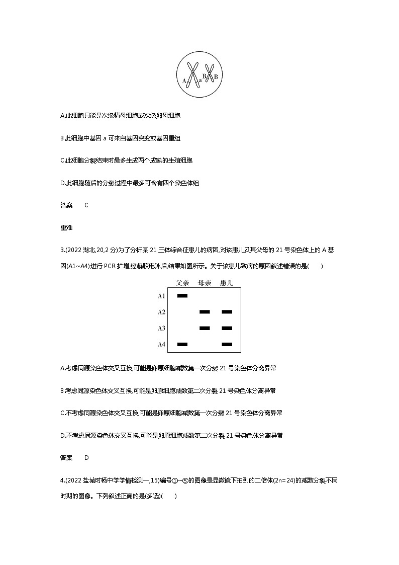 2023届高考生物二轮复习遗传的细胞基础作业含答案第2页