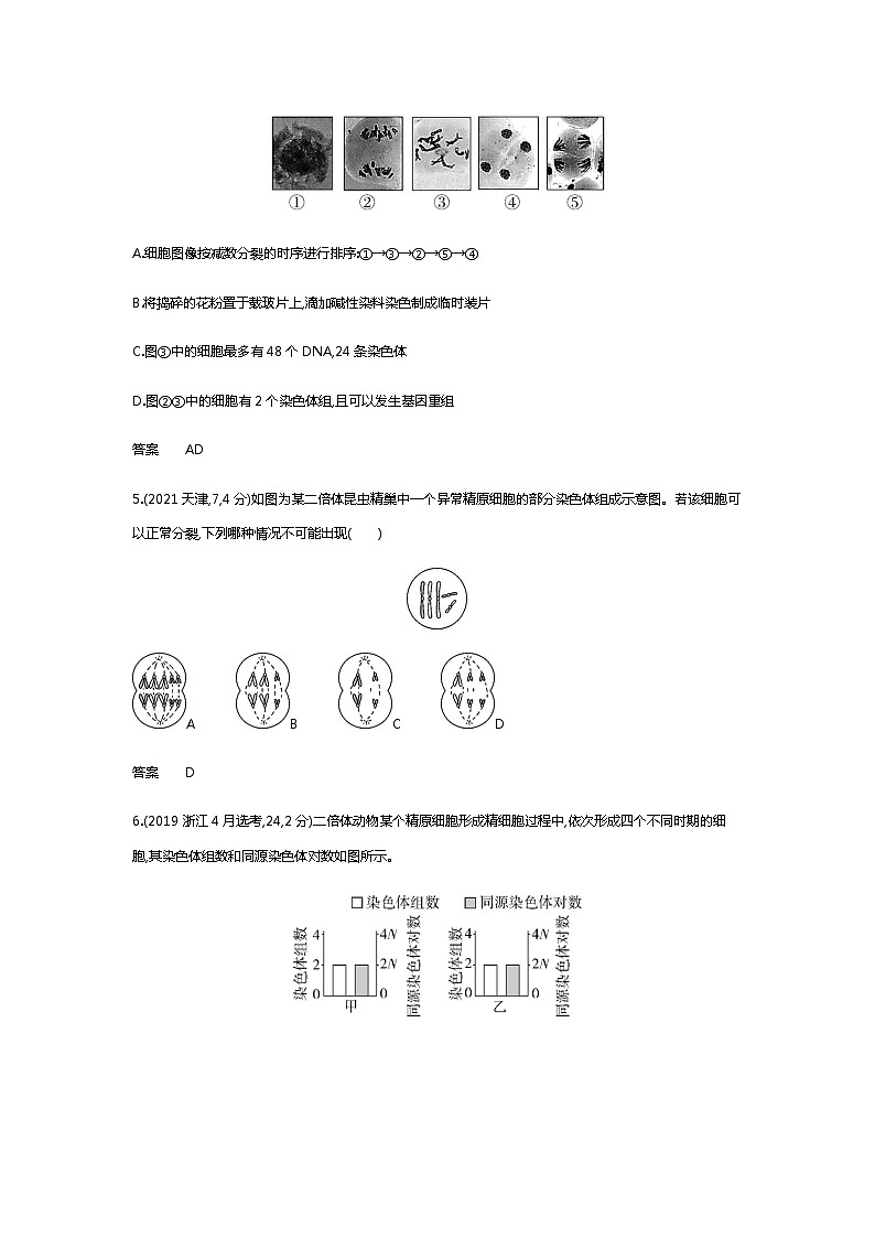 2023届高考生物二轮复习遗传的细胞基础作业含答案第3页