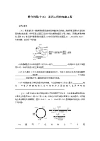 2023届高考生物二轮复习基因工程和细胞工程作业含答案