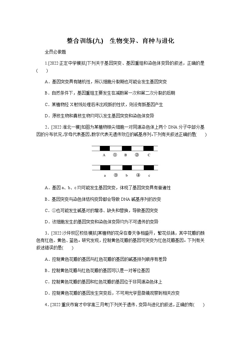 2023届高考生物二轮复习生物变异、育种与进化病作业含答案第1页