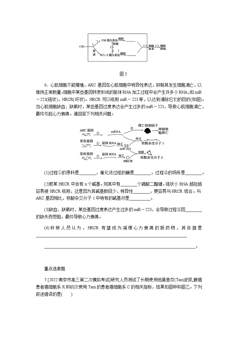 2023届高考生物二轮复习细胞的分化、衰老、凋亡和癌变作业含答案第3页