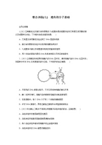 2023届高考生物二轮复习遗传的分子基础作业含答案