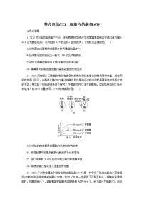 2023届高考生物二轮复习细胞内的酶和ATP作业含答案