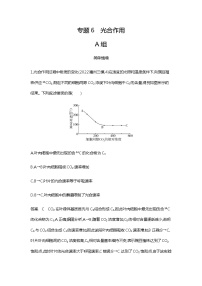 2023届高考生物二轮复习光合作用作业含答案