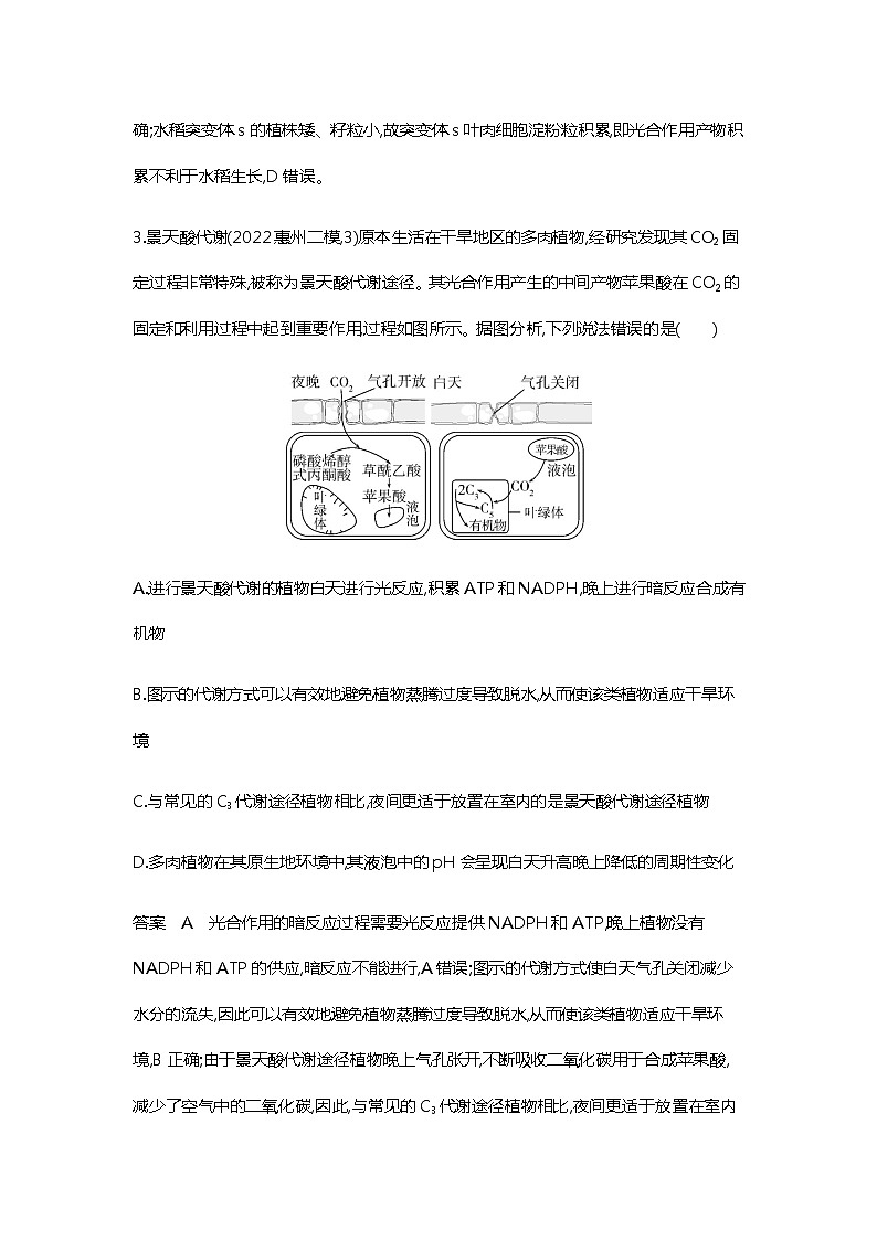 2023届高考生物二轮复习光合作用作业含答案第3页