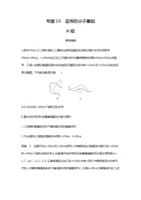 2023届高考生物二轮复习遗传的分子基础作业含答案