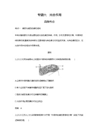 2023届高考生物二轮复习光合作用作业含答案