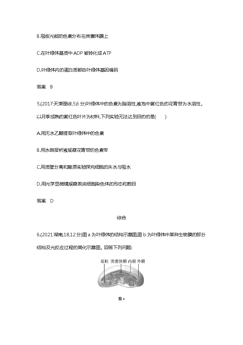 2023届高考生物二轮复习光合作用作业含答案第3页
