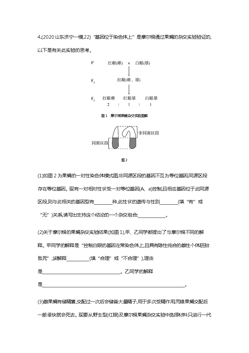 2023届高考生物二轮复习伴性遗传与人类遗传病作业含答案第3页