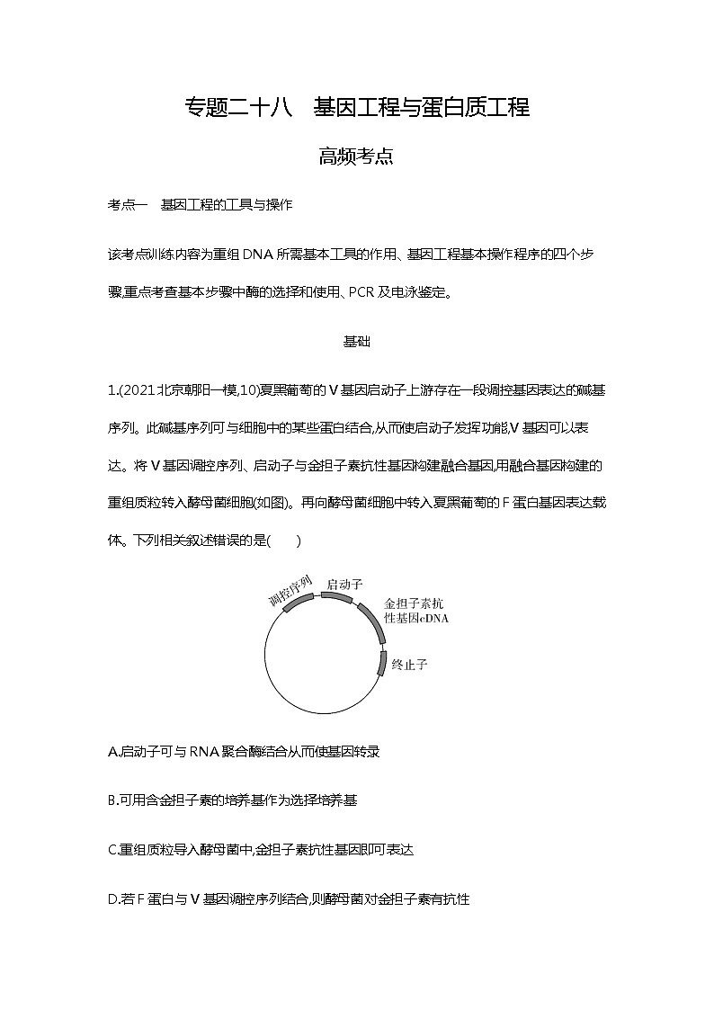 2023届高考生物二轮复习基因工程与蛋白质工程作业含答案第1页