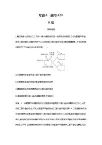 2023届高考生物二轮复习酶与ATP作业含答案