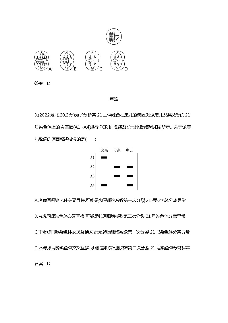 2023届高考生物二轮复习遗传的细胞基础作业含答案第2页