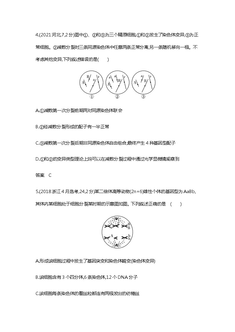 2023届高考生物二轮复习遗传的细胞基础作业含答案第3页