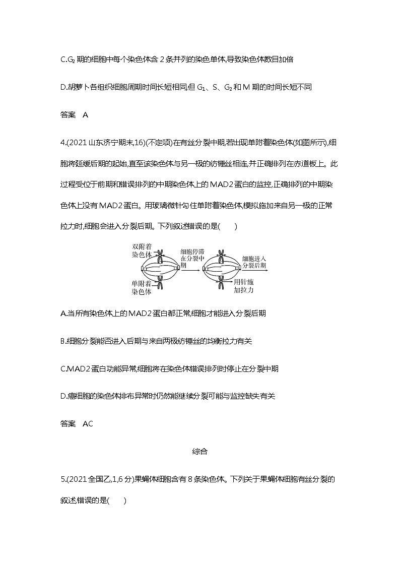 2023届高考生物二轮复习细胞增殖作业含答案03